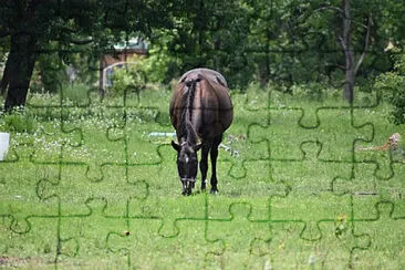 Toy jigsaw puzzle