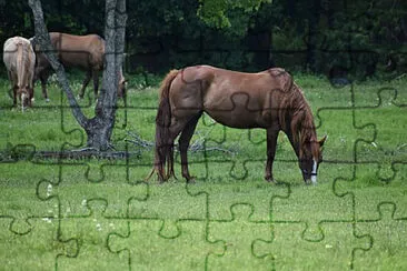 Toy jigsaw puzzle