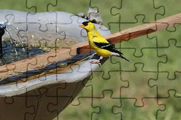 Toy jigsaw puzzle