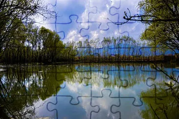 Toy jigsaw puzzle