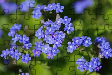 Toy jigsaw puzzle