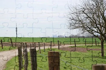 Toy jigsaw puzzle