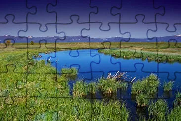 Toy jigsaw puzzle