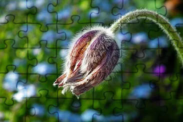 Toy jigsaw puzzle