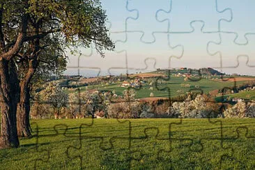 Toy jigsaw puzzle