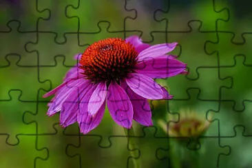 OK jigsaw puzzle