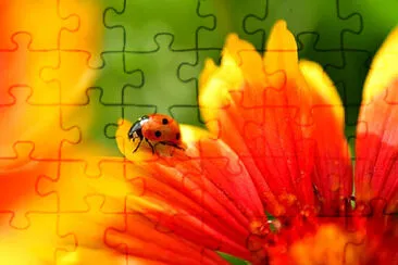 Toy jigsaw puzzle