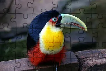 Toy jigsaw puzzle