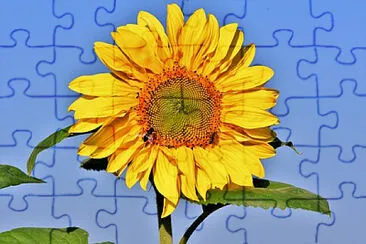 Toy jigsaw puzzle