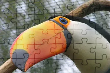 Toy jigsaw puzzle