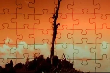 Eu jigsaw puzzle