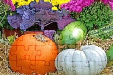 Toy jigsaw puzzle