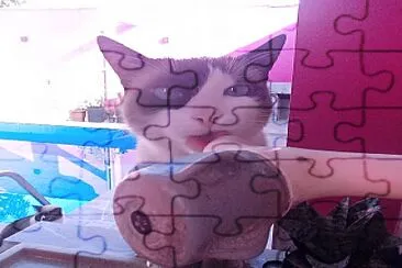 GATO jigsaw puzzle