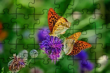 Toy jigsaw puzzle