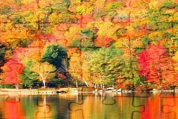 Walden jigsaw puzzle