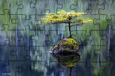 Toy jigsaw puzzle