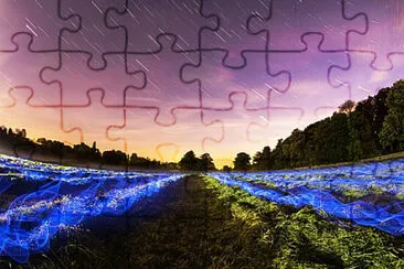 Toy jigsaw puzzle