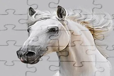 פאזל של cheval blanc