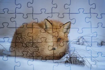 Toy jigsaw puzzle