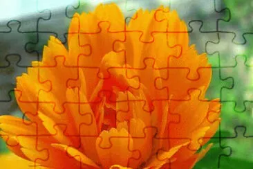 Toy jigsaw puzzle