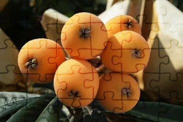 Toy jigsaw puzzle