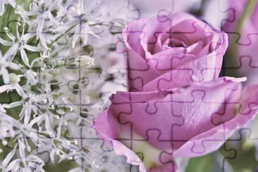 Toy jigsaw puzzle