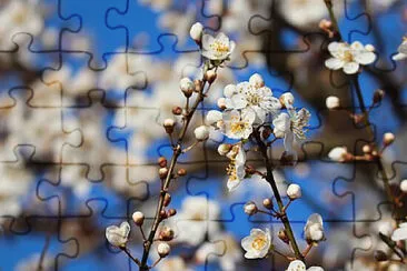 Toy jigsaw puzzle