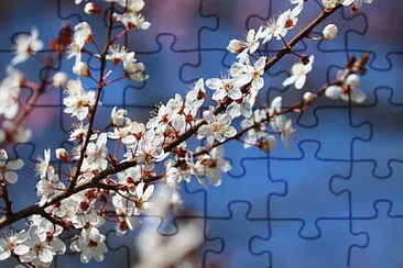 Toy jigsaw puzzle