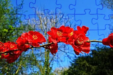 Toy jigsaw puzzle