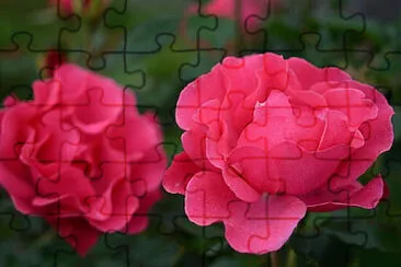 Toy jigsaw puzzle