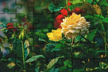 Toy jigsaw puzzle