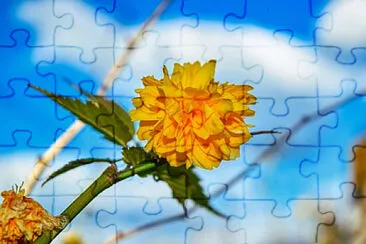 Toy jigsaw puzzle