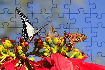 Toy jigsaw puzzle