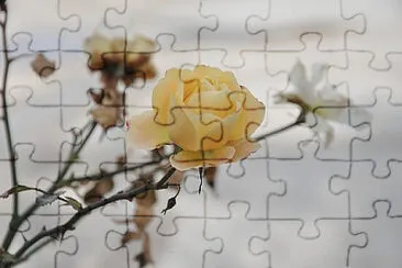 Toy jigsaw puzzle