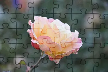 Toy jigsaw puzzle