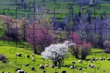 451 jigsaw puzzle