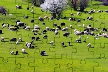 459 jigsaw puzzle