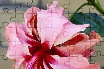 imagem jigsaw puzzle