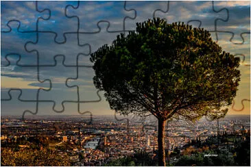 verona jigsaw puzzle