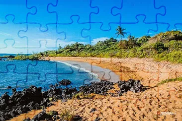 Toy jigsaw puzzle