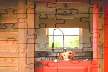 perro jigsaw puzzle