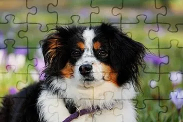 teste jigsaw puzzle