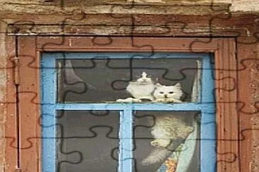 פאזל של gato