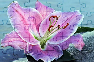 OK jigsaw puzzle