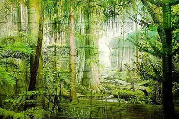 Bosque jigsaw puzzle