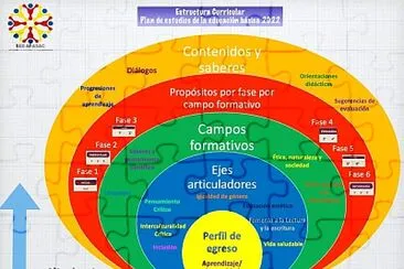 Estructura curricular