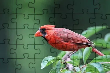 Toy jigsaw puzzle