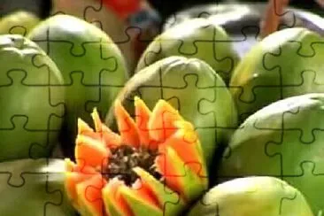 Toy jigsaw puzzle