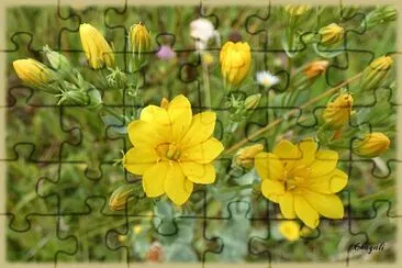 imagem jigsaw puzzle