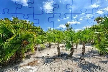 Toy jigsaw puzzle